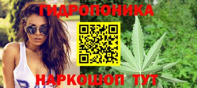 ALPHA PVP Будённовск
