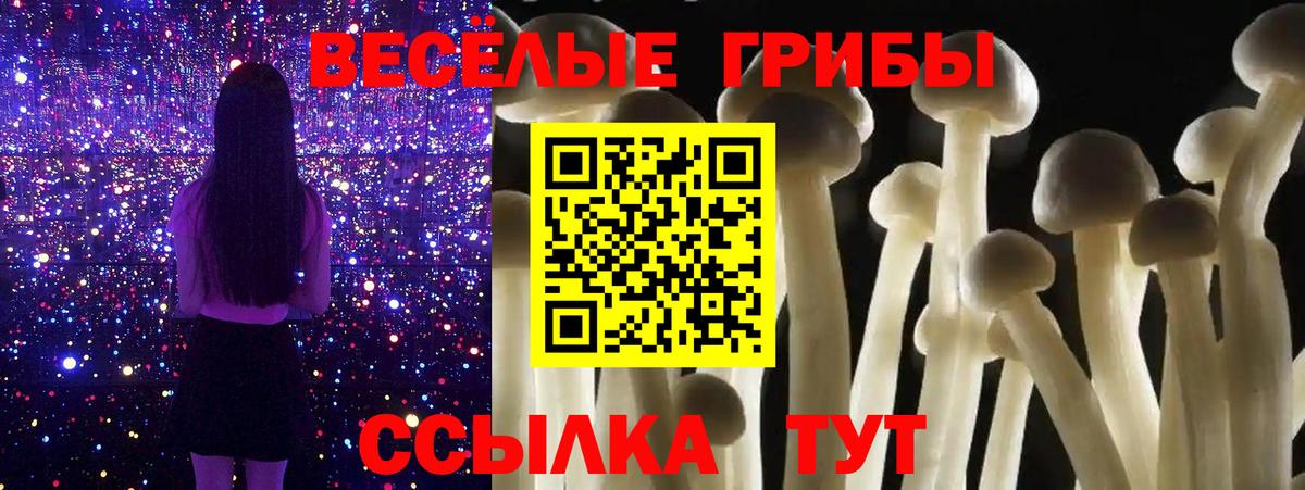 Псилоцибиновые грибы MAGIC MUSHROOMS Тверь